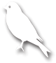 about-bird about-bird